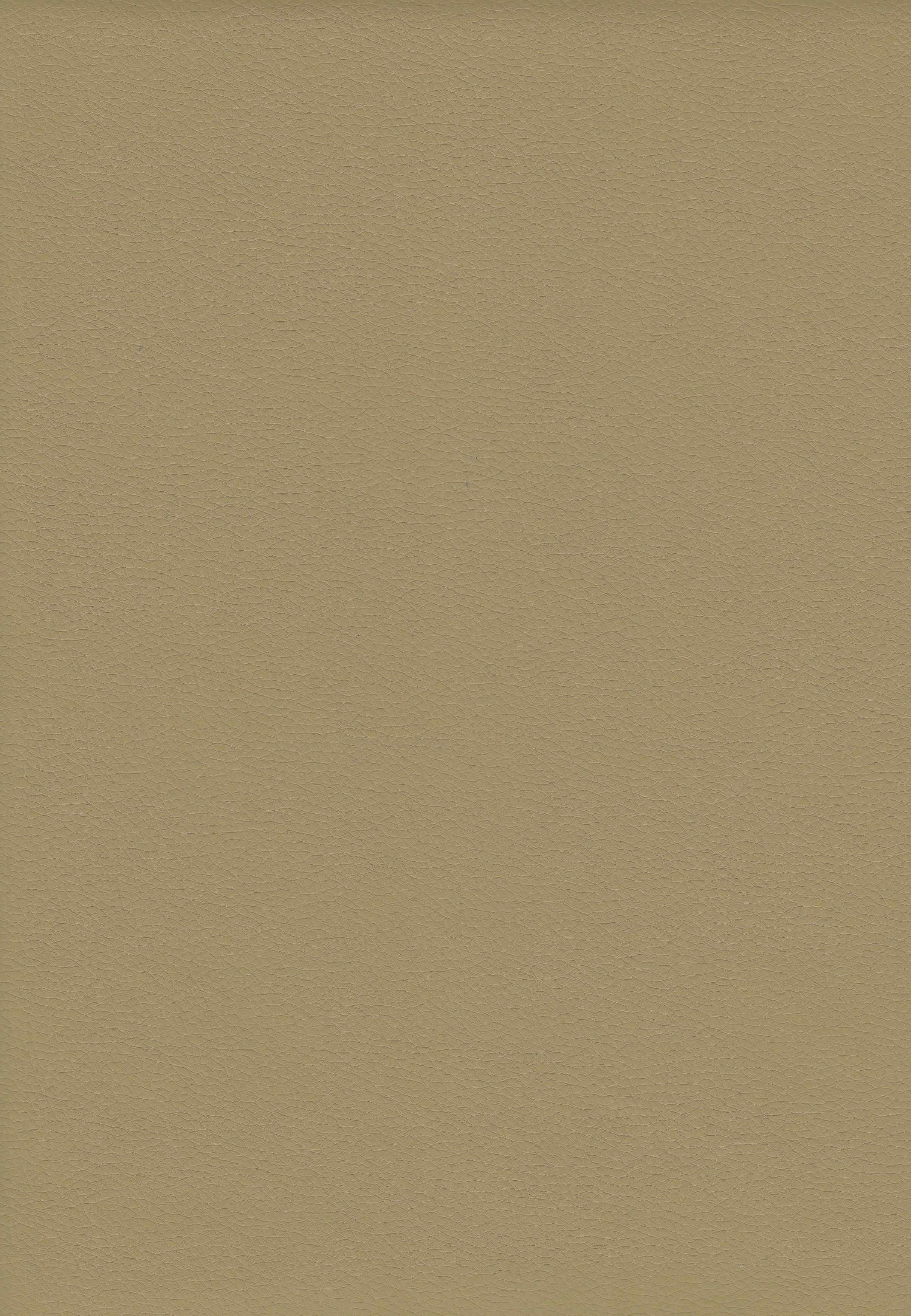 Romana C/0006