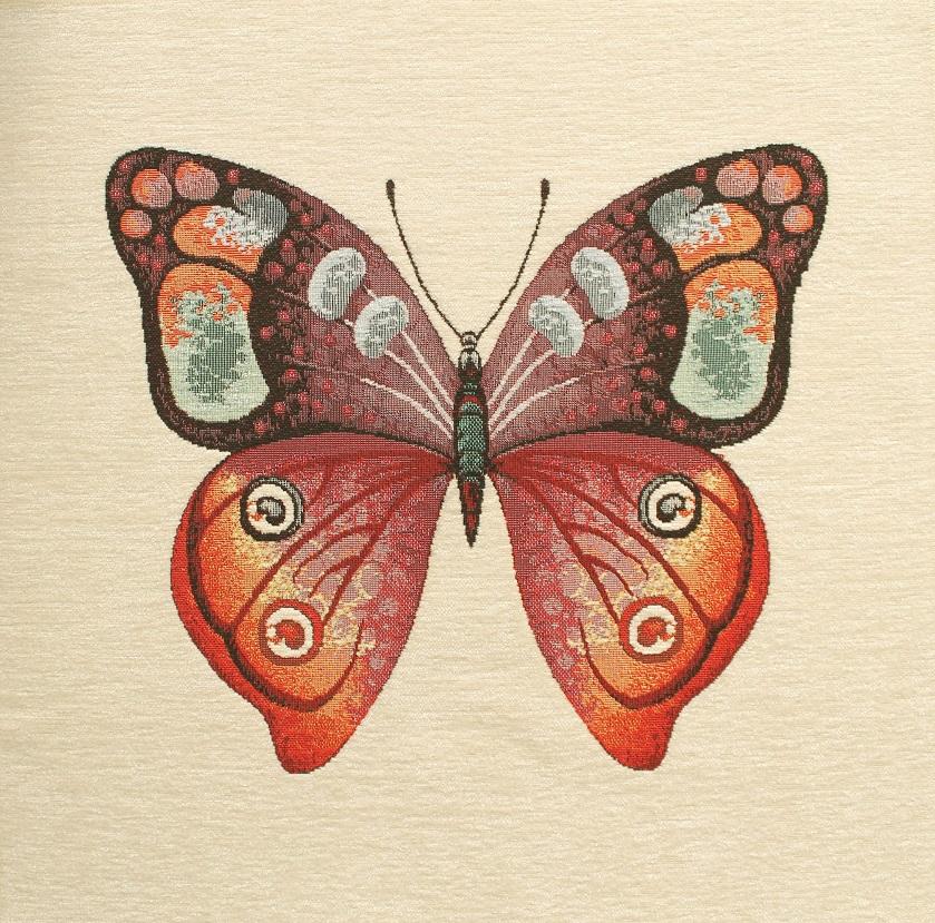 LIFE 022 - MOTÝL C-000