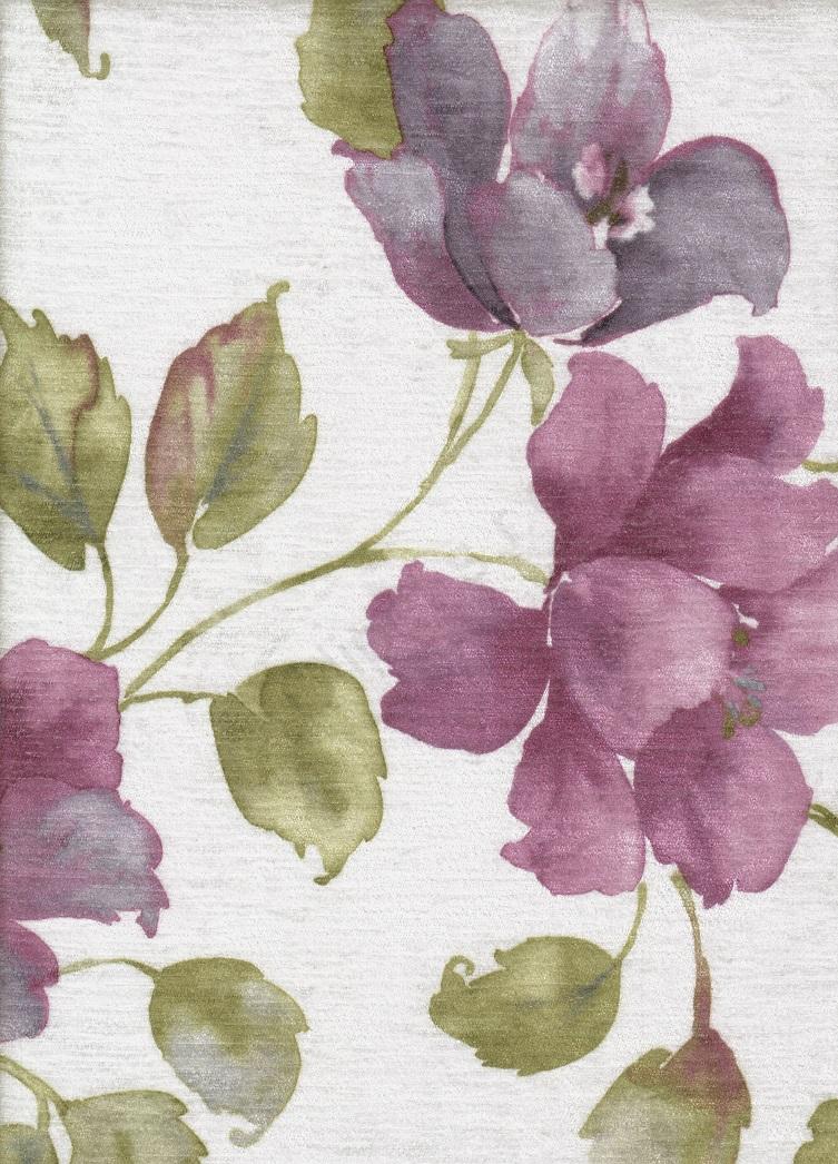 Julia Aster 5090