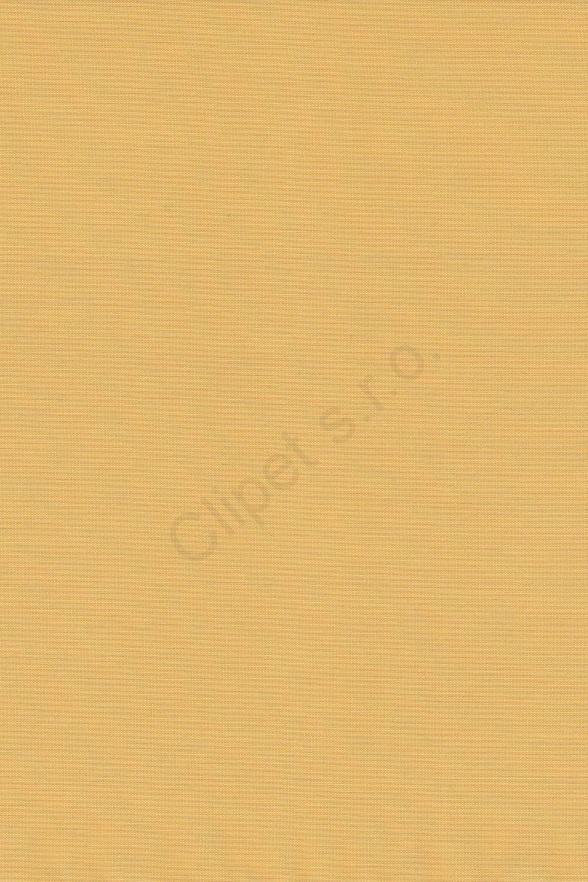 Venus C/04
