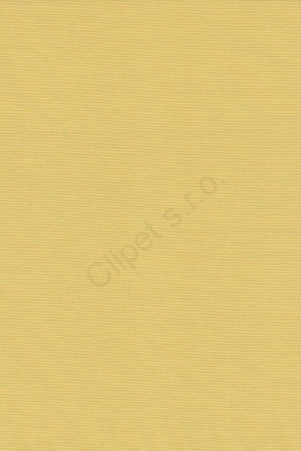 Venus C/08