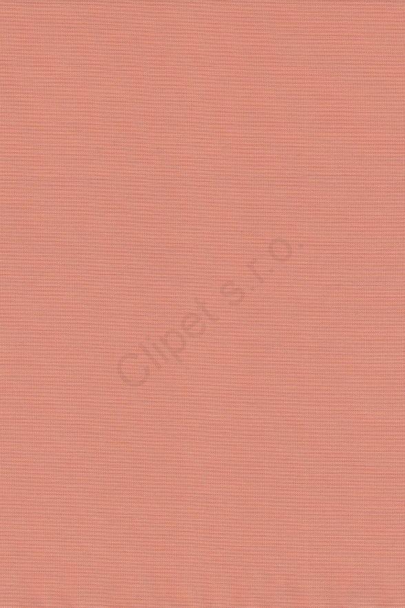 Venus C/15