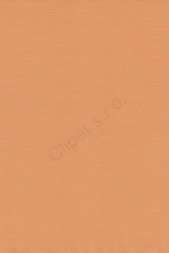 Venus C/22