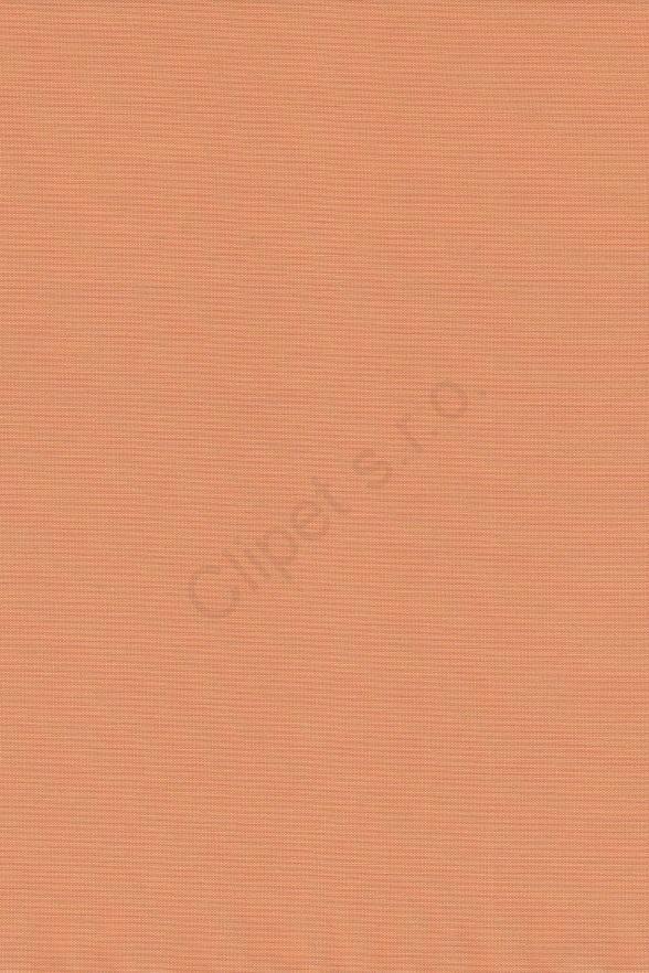 Venus C/29