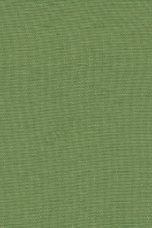 Venus C/52