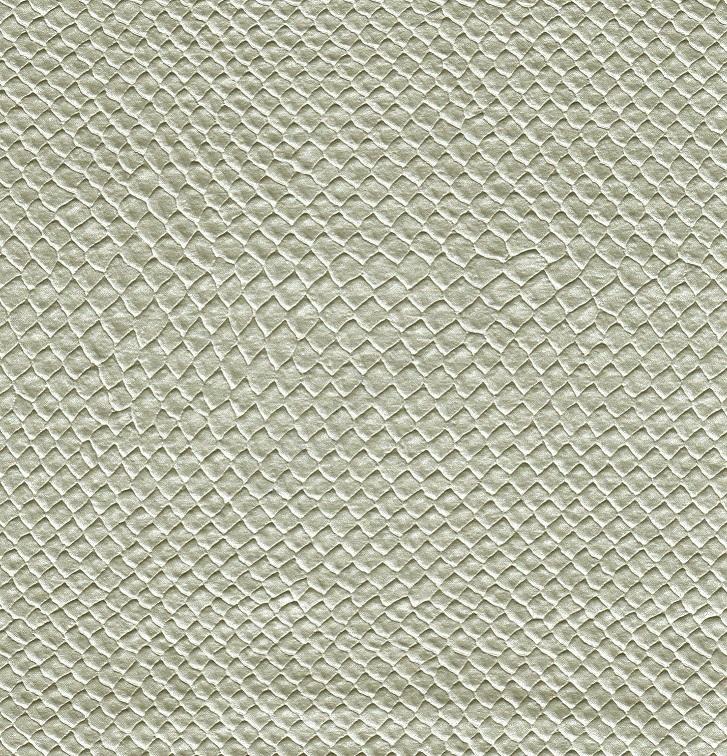 Ecaille 960 silver