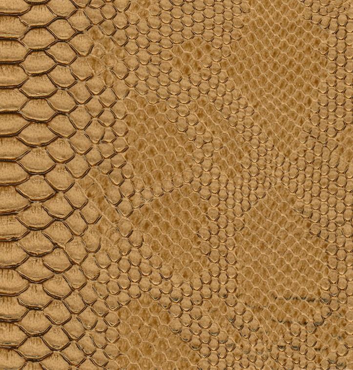 Dragon 175 beige