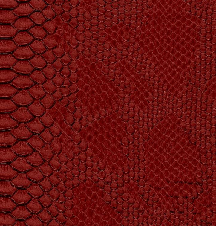 Dragon 229 red