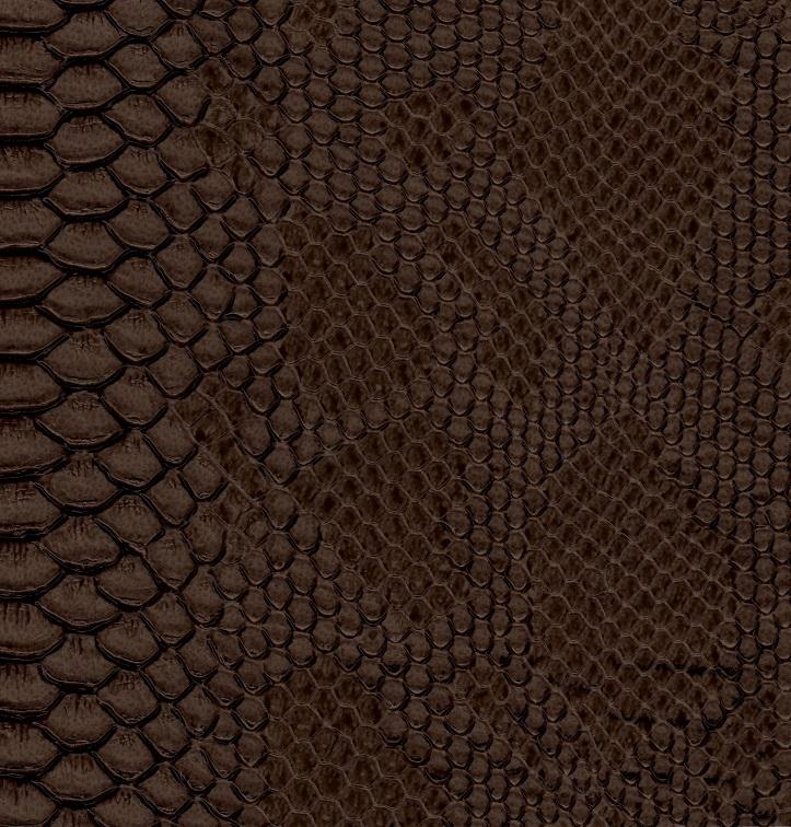 Dragon 512 brown