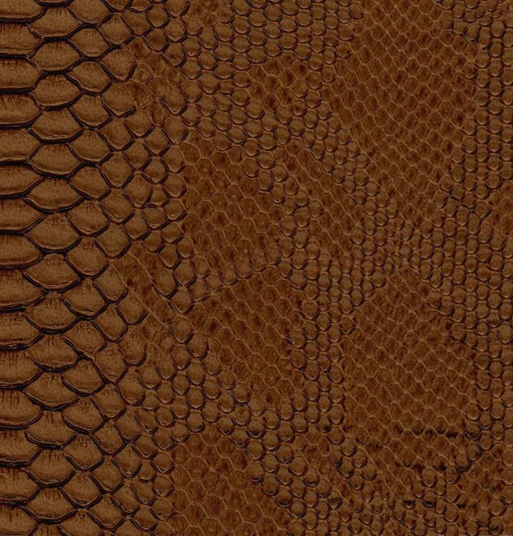 Dragon 645 camel