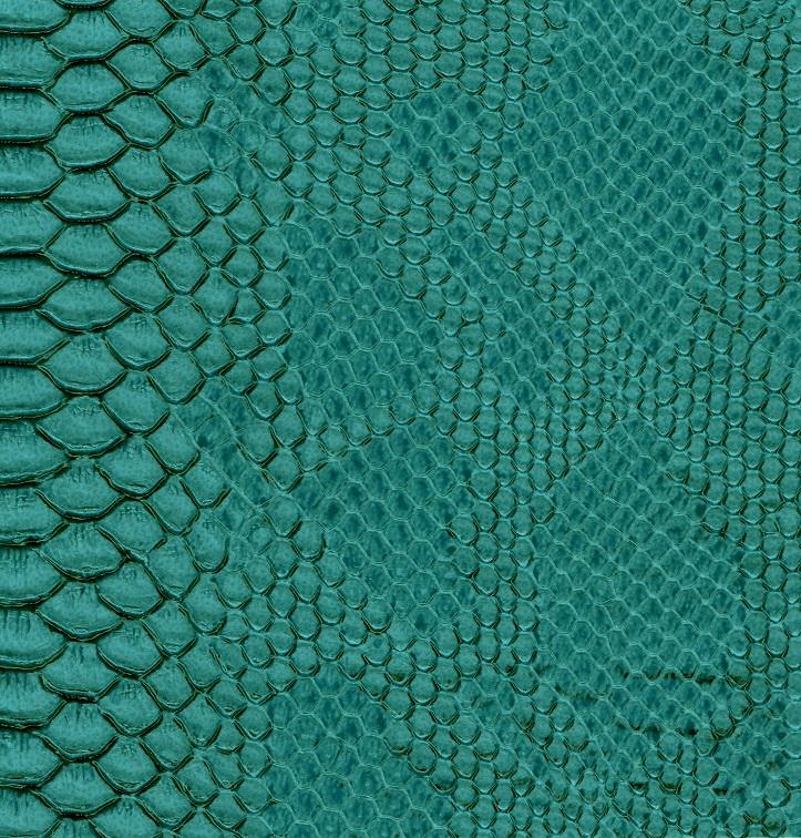 Dragon 810 turquoise