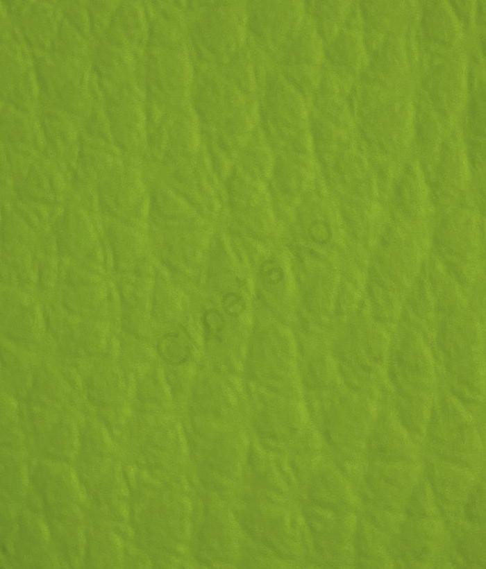 Fluo 539 Kiwi