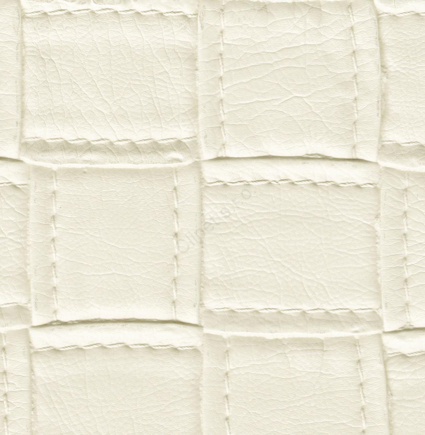 Tetra 002 white