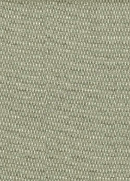 Moonse C/31