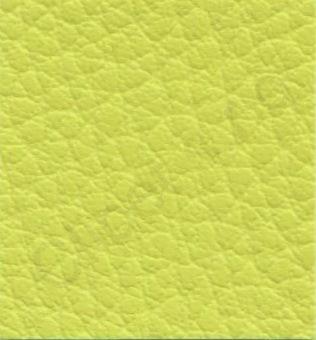 Ginkgo Endive