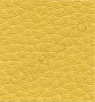 Ginkgo Mirabelle