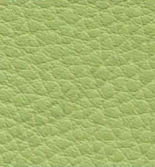 Ginkgo Menthe