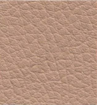 Ginkgo Dune
