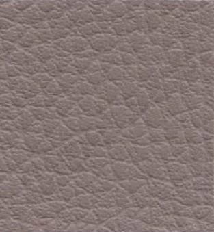 Ginkgo Terre