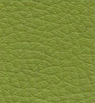 Ginkgo Amande