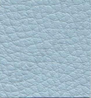 Ginkgo Aigue Marine