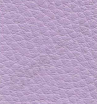 Ginkgo Lilas