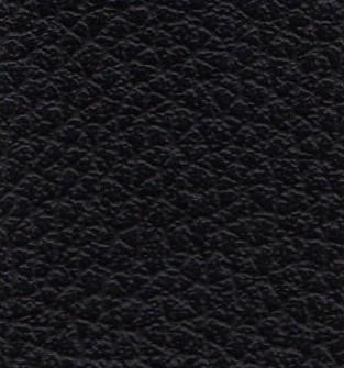 Ginkgo Anthracite