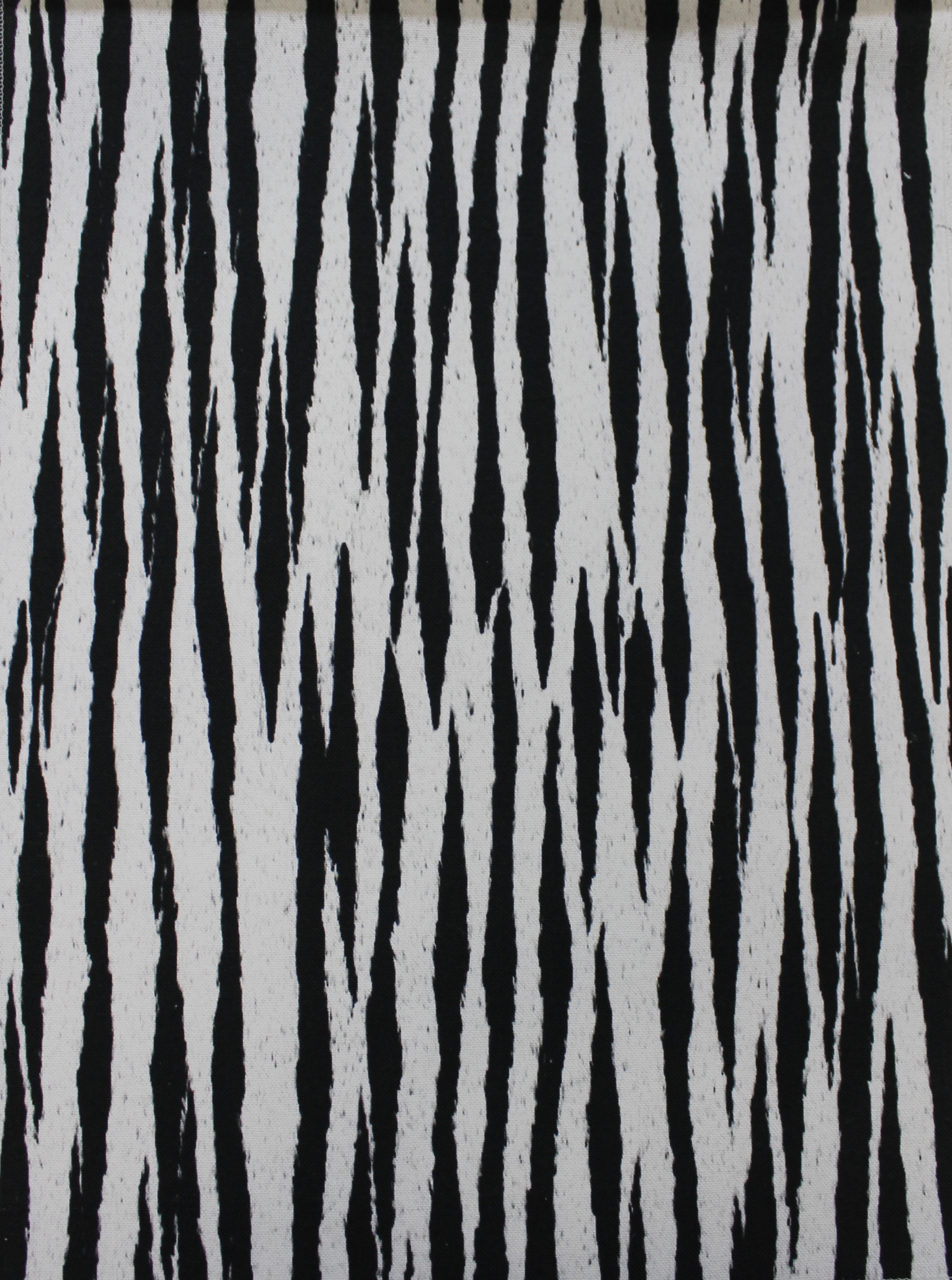 Zebra - dakari C/35149