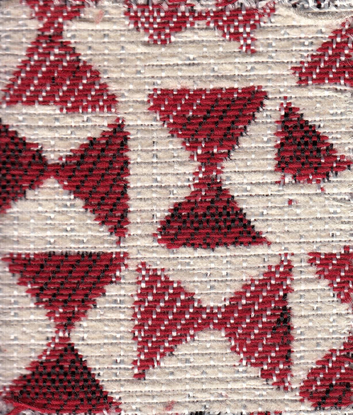 Papillon C/6