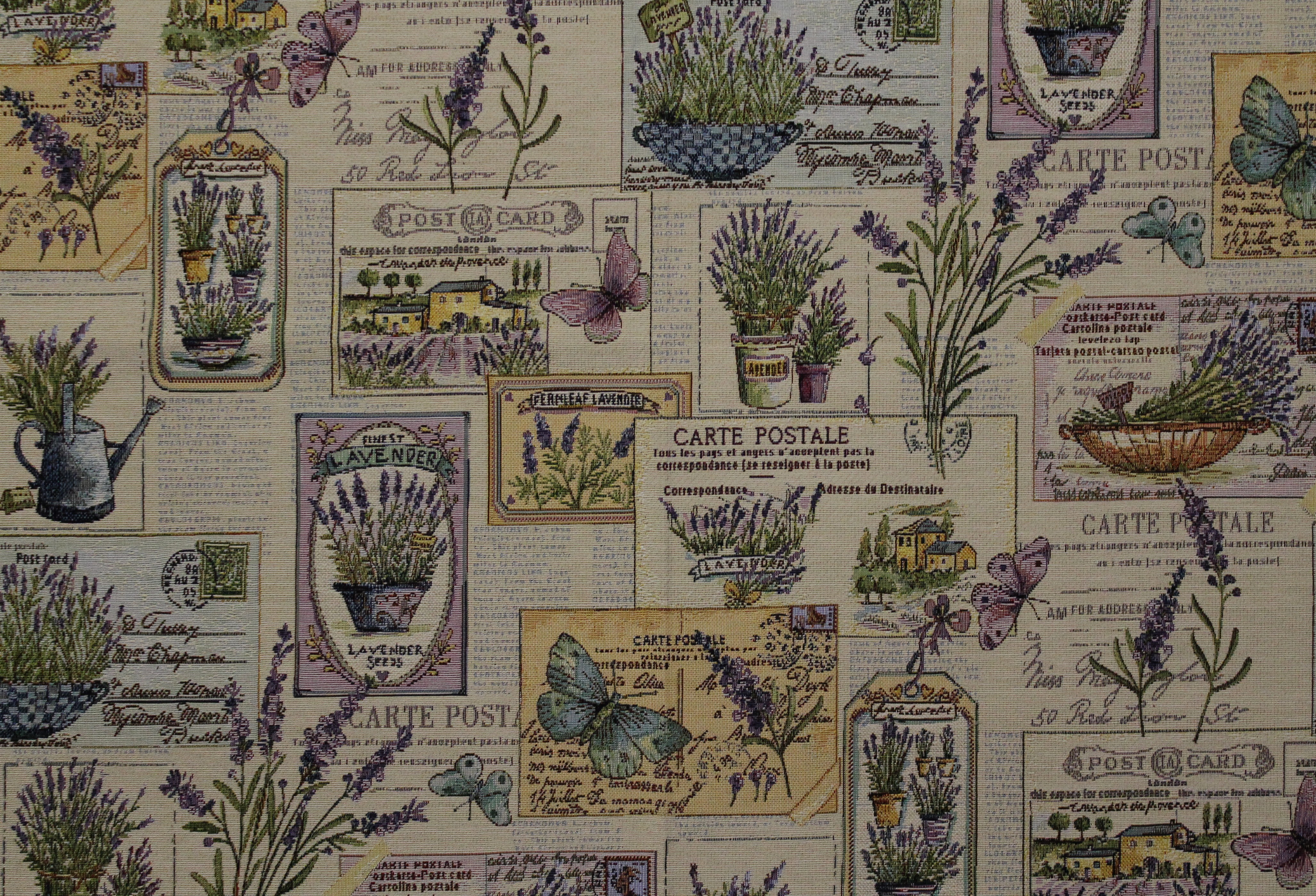 Žakár Lavender Seeds C/01
