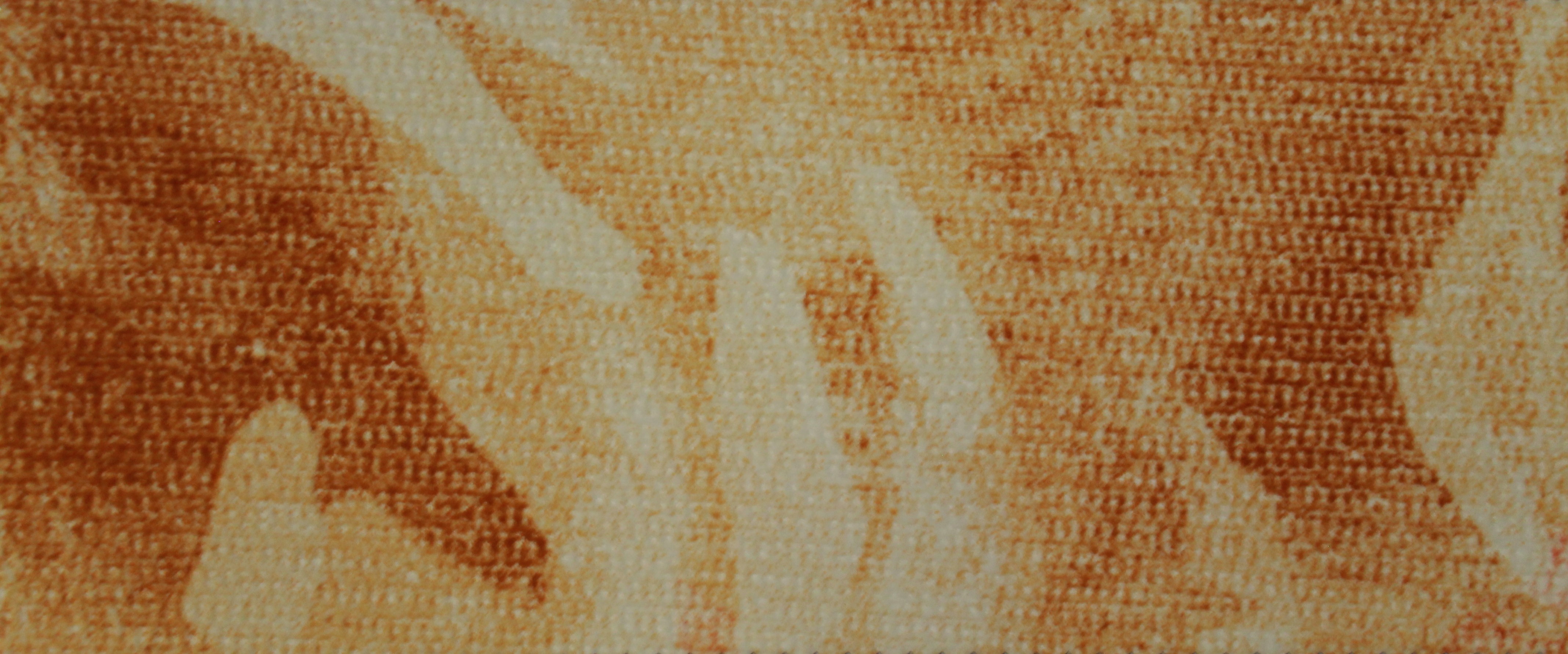 Medida C/06