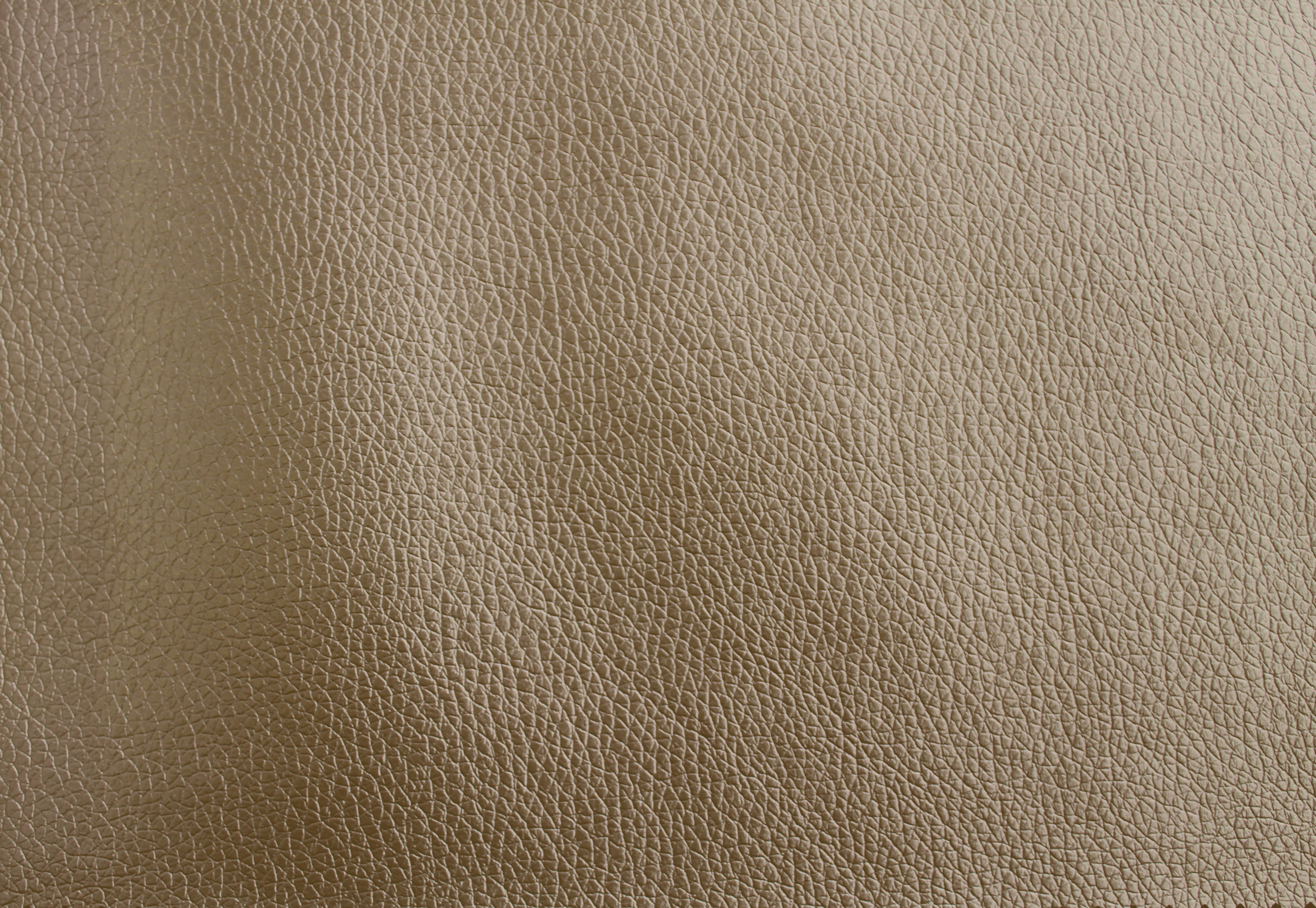Wild West - Hide Metallic 10 Antique