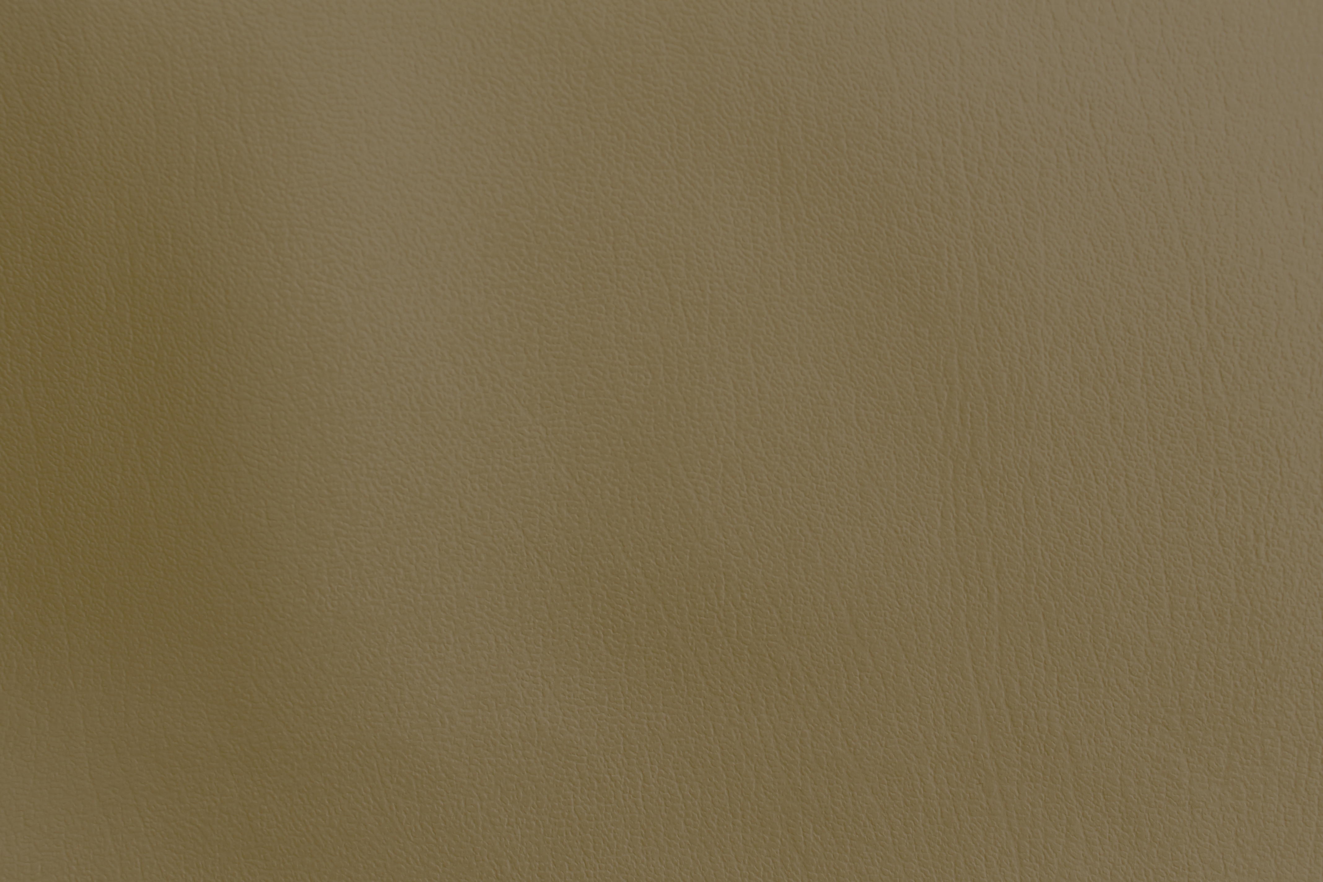 Wild West - Tannery 14 Ganache