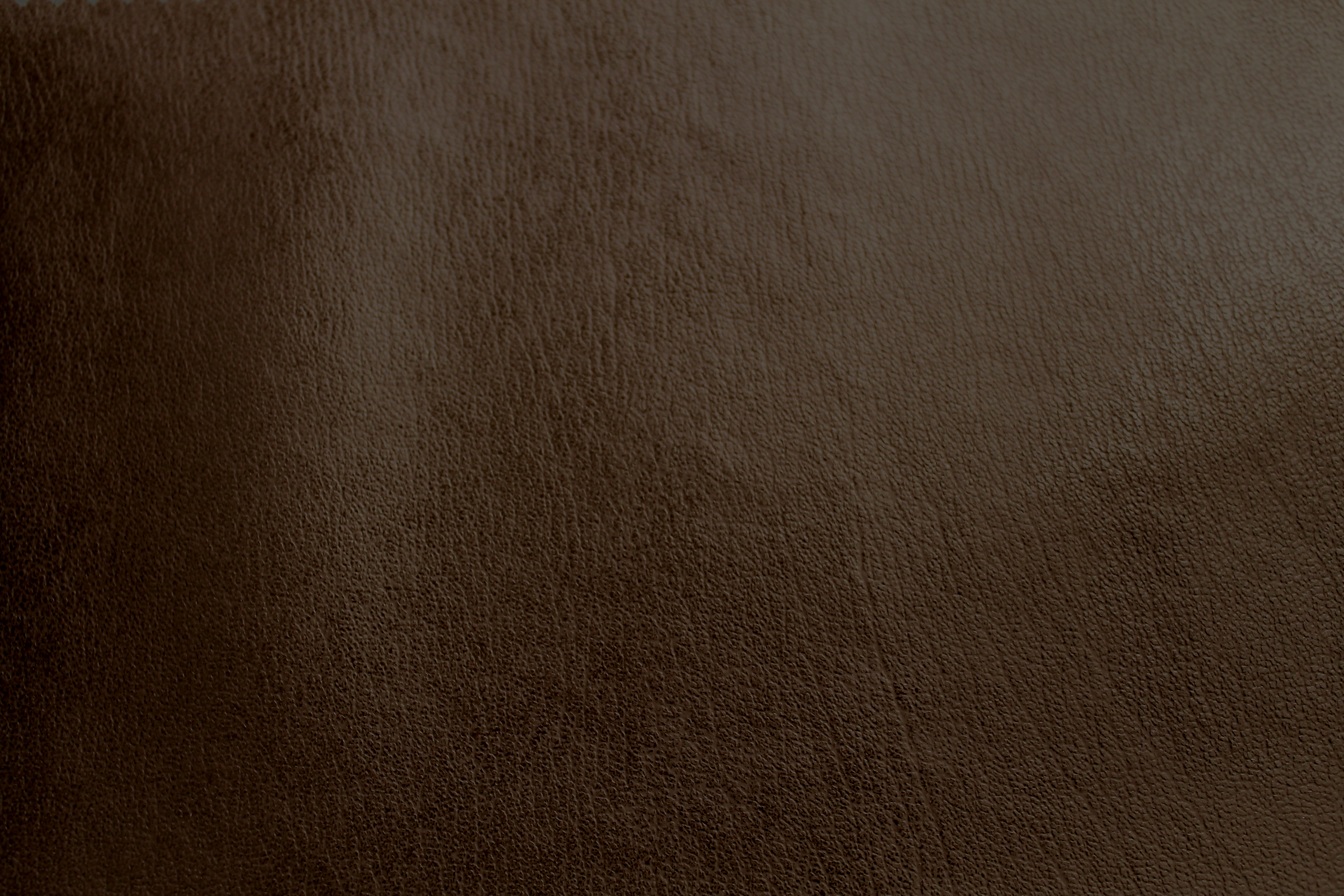 Wild West - Tannery 16 Wren
