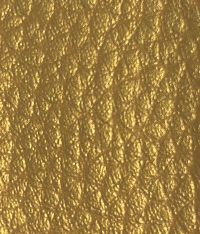 Dolaro 010 Gold